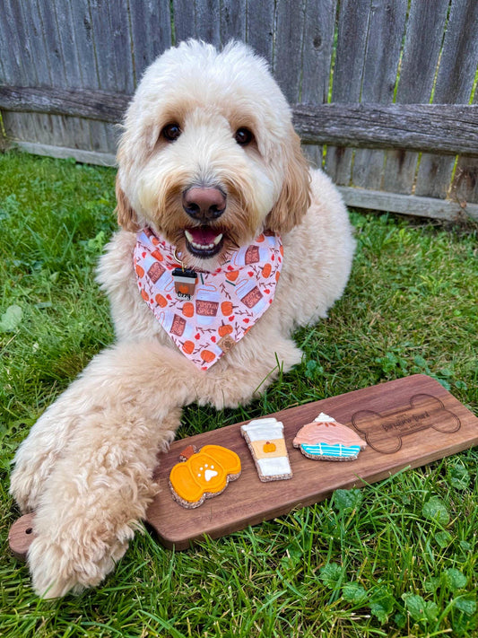 Pumpkin Spice Theme