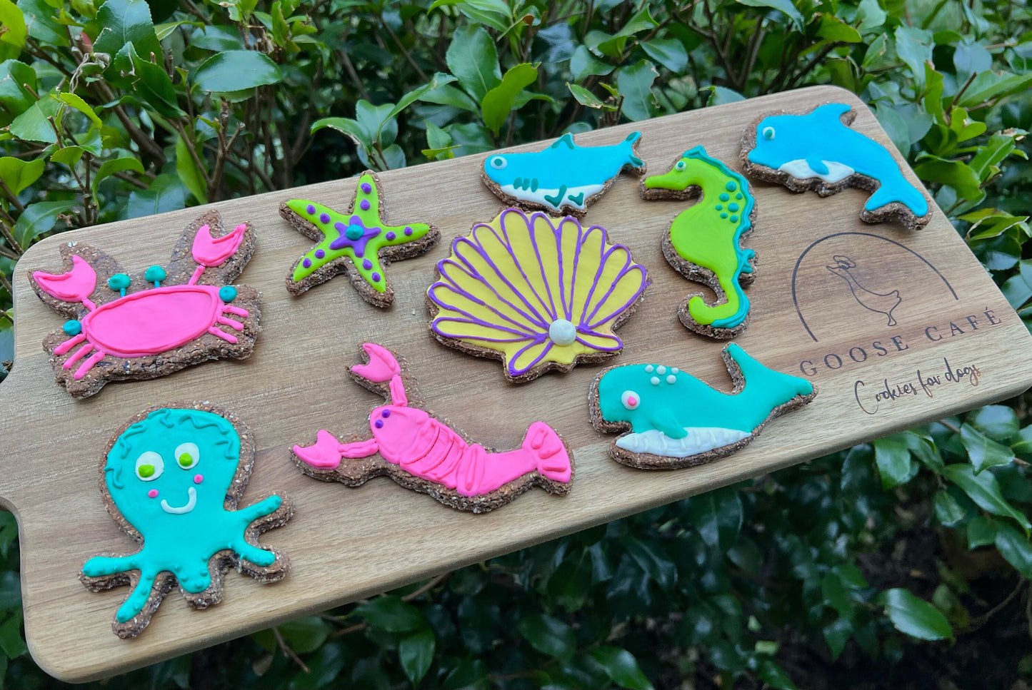 Ocean Creatures