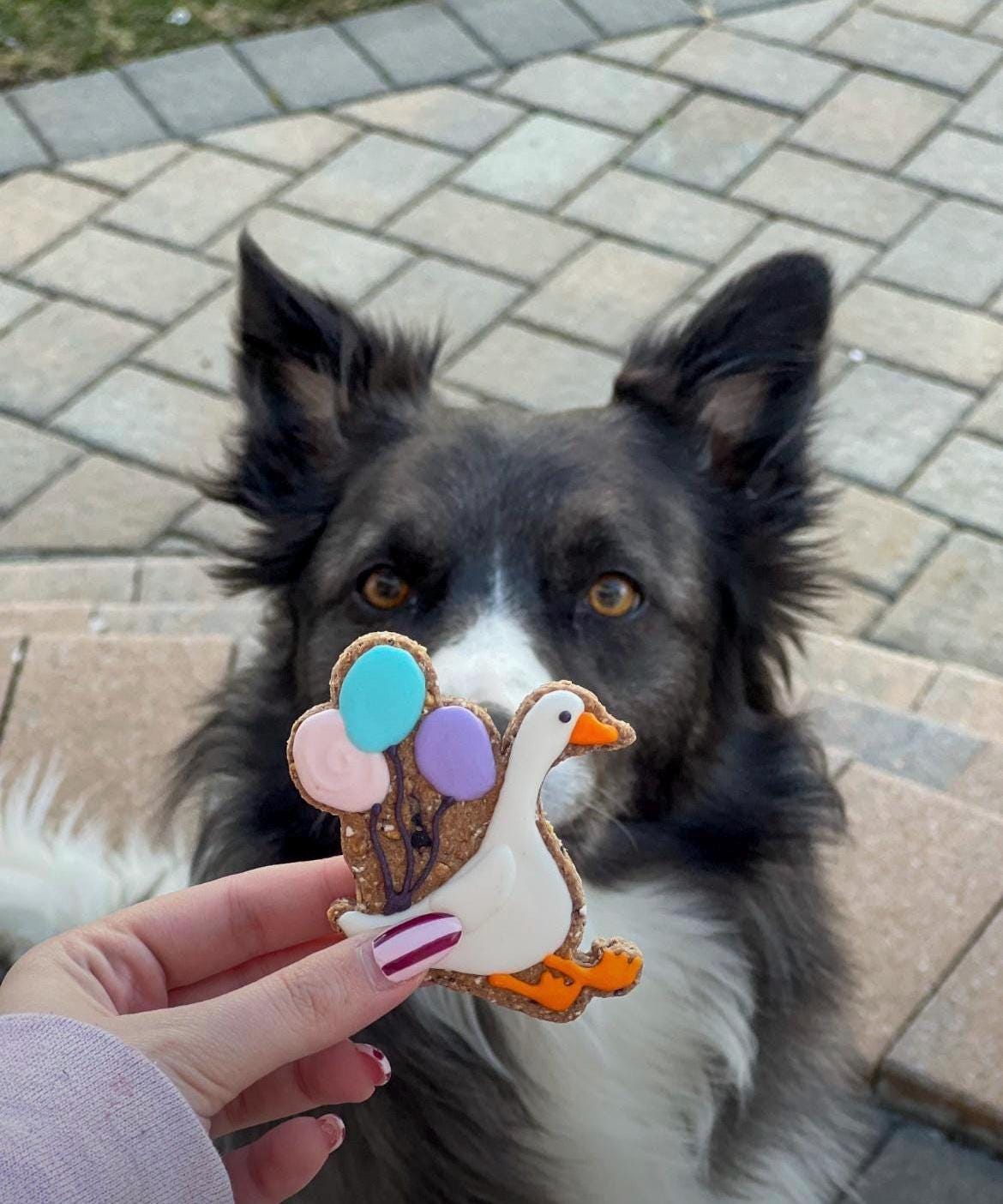 Party Goose Theme