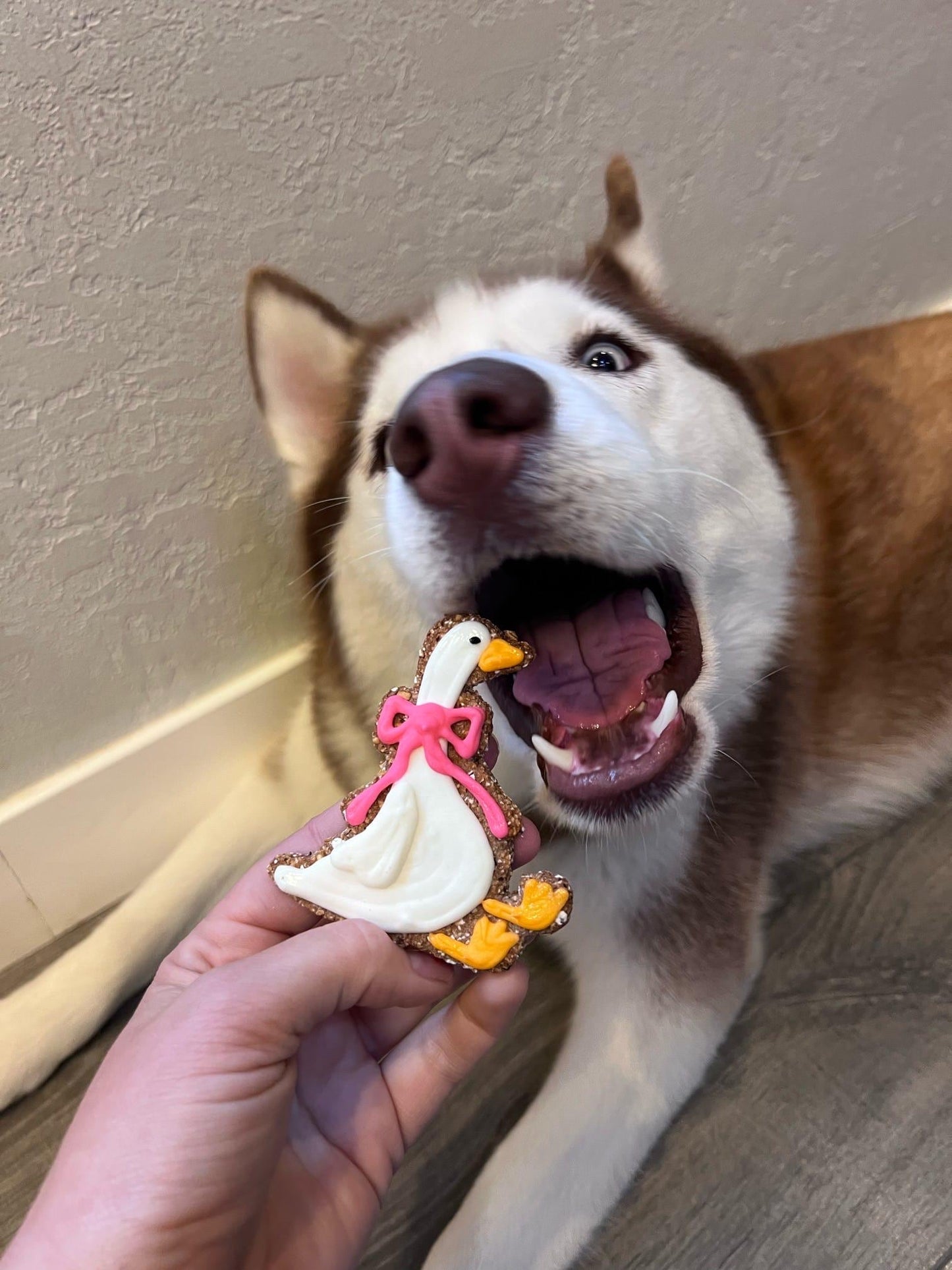 Party Goose Theme