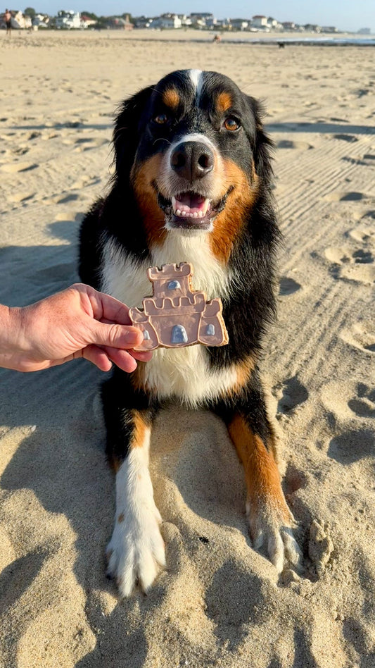 Beach Theme