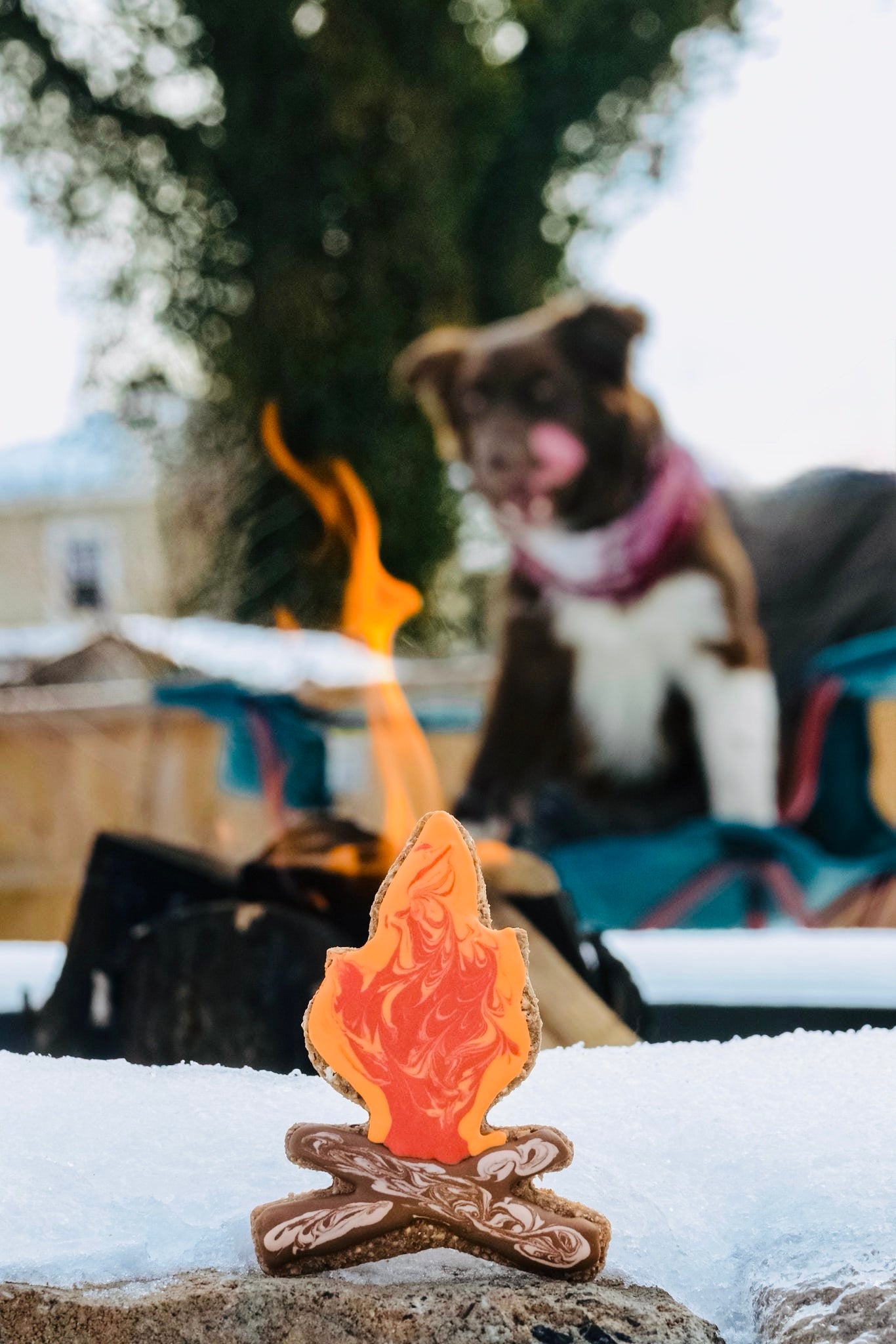 Camping Theme