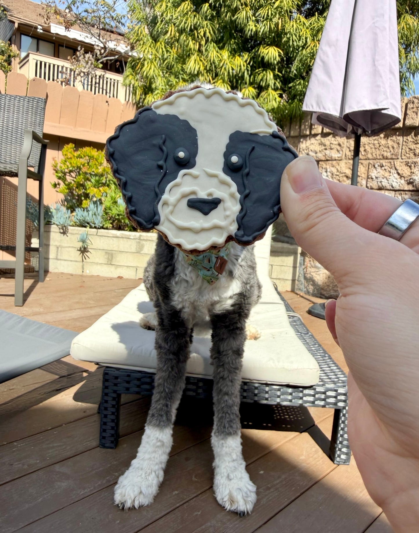 Customized Dog Face Cookies