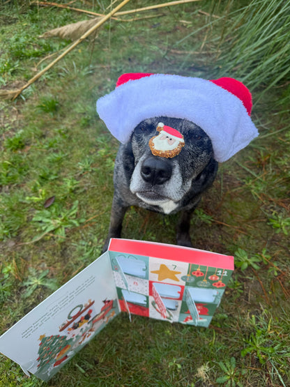 12 Days of Christmas Advent Calendar 2025
