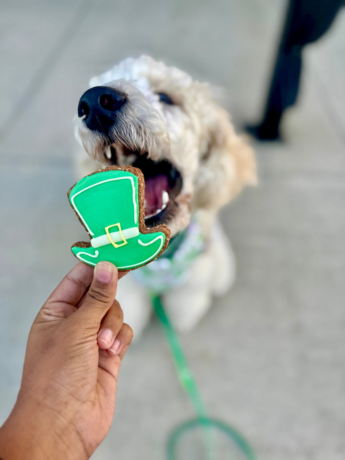 St. Patrick’s Day Theme