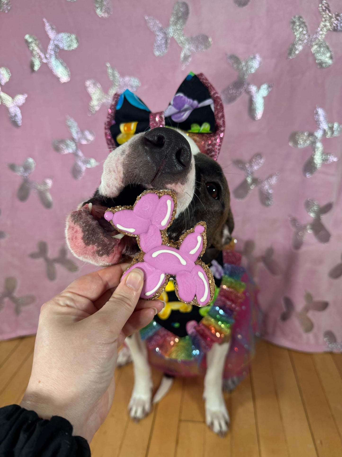 Balloon Animals