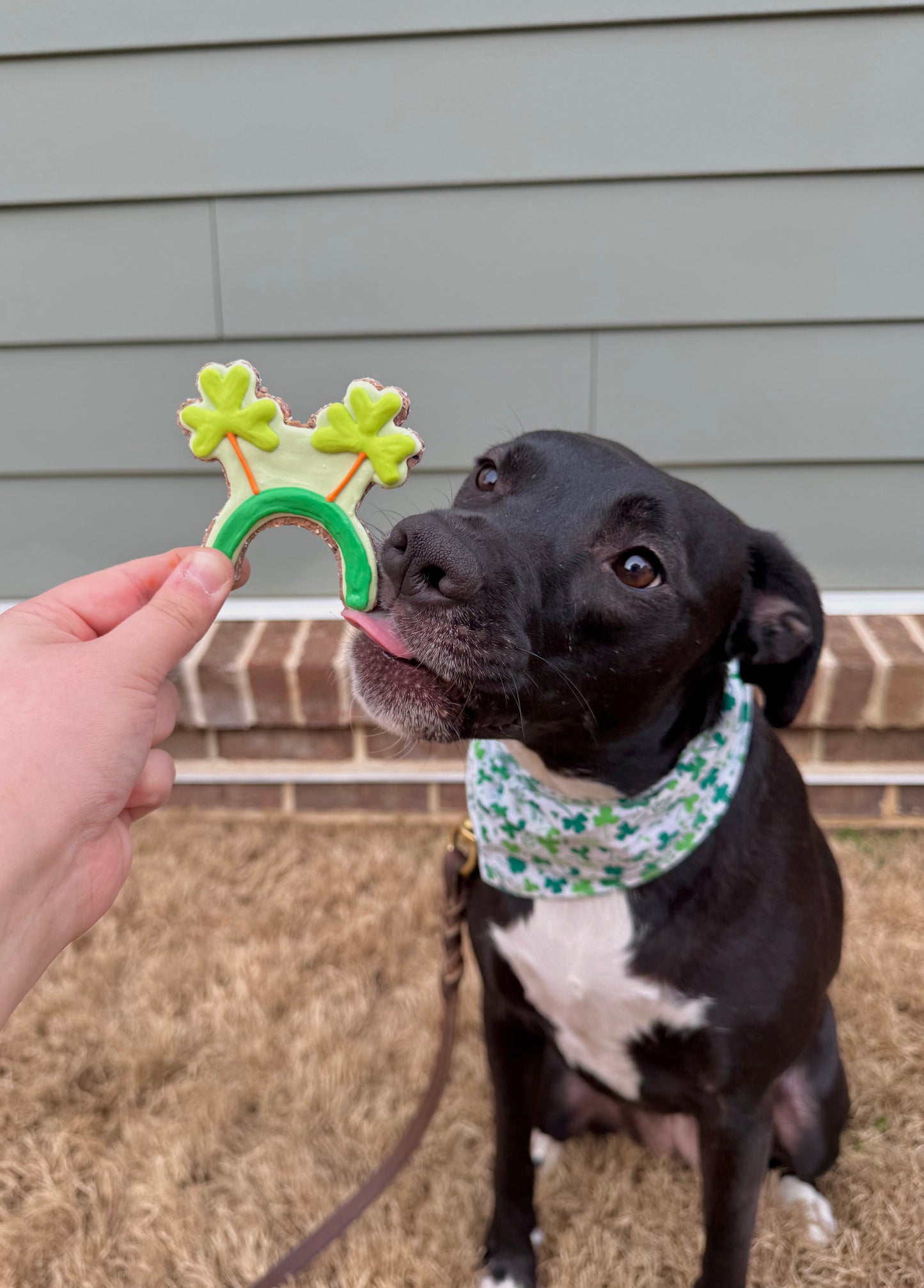 Shamrock Headband