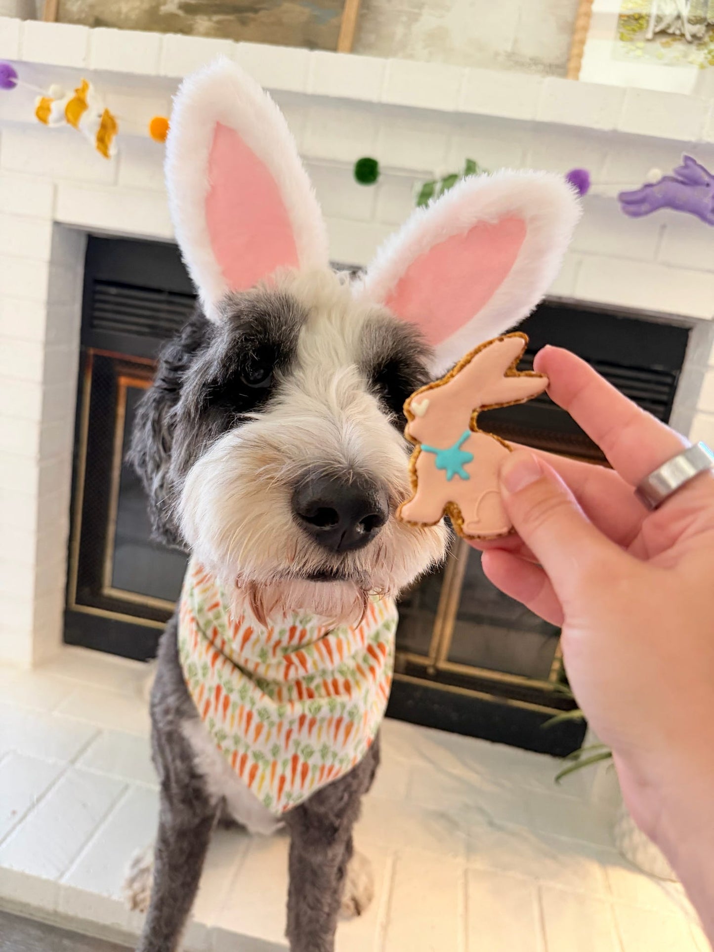 Mini Bunny and Carrots Set of 3