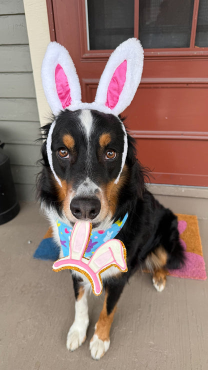 Bunny Ears Headband