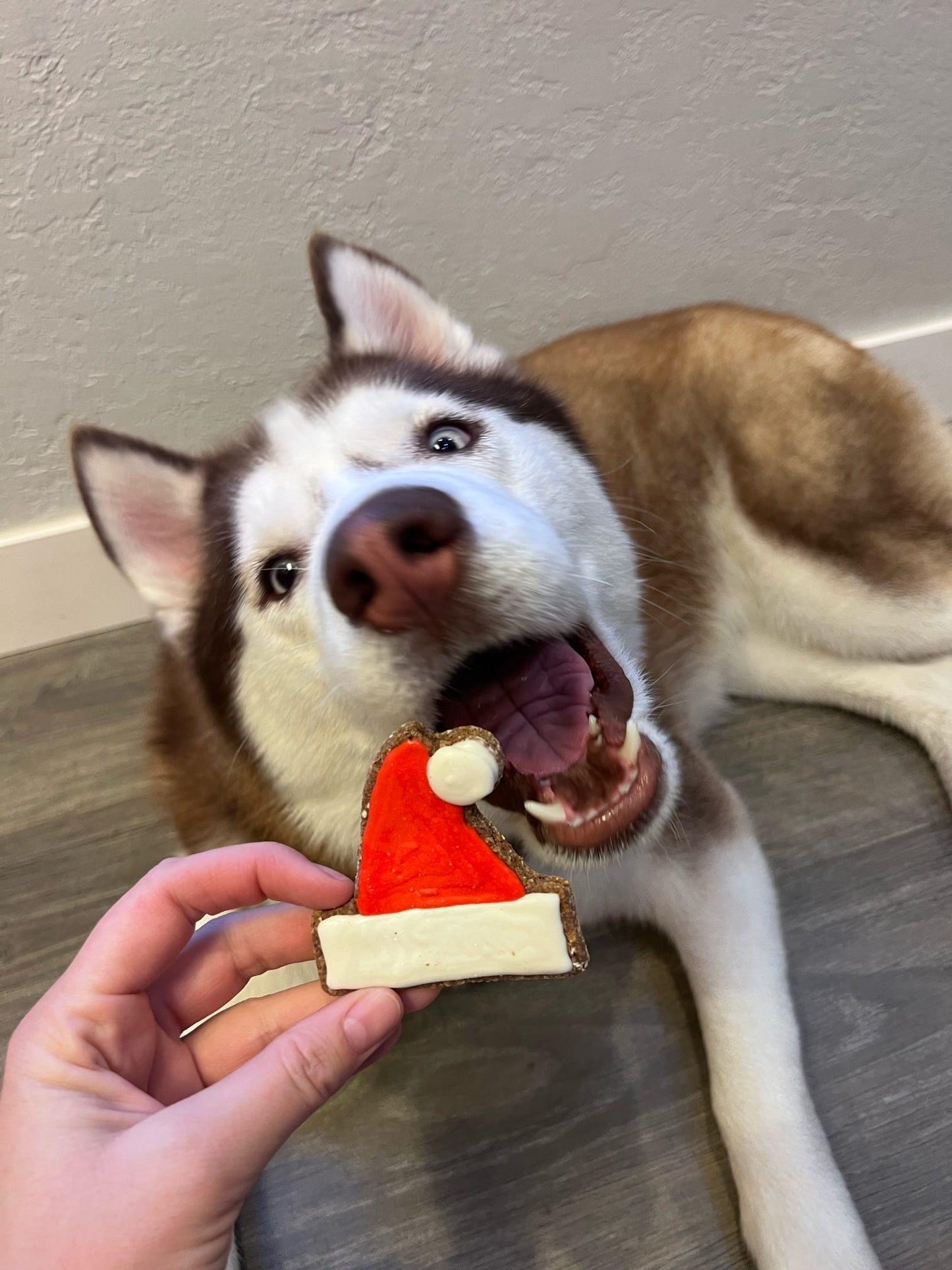 Santa Hat, Present, Gingerbread Man