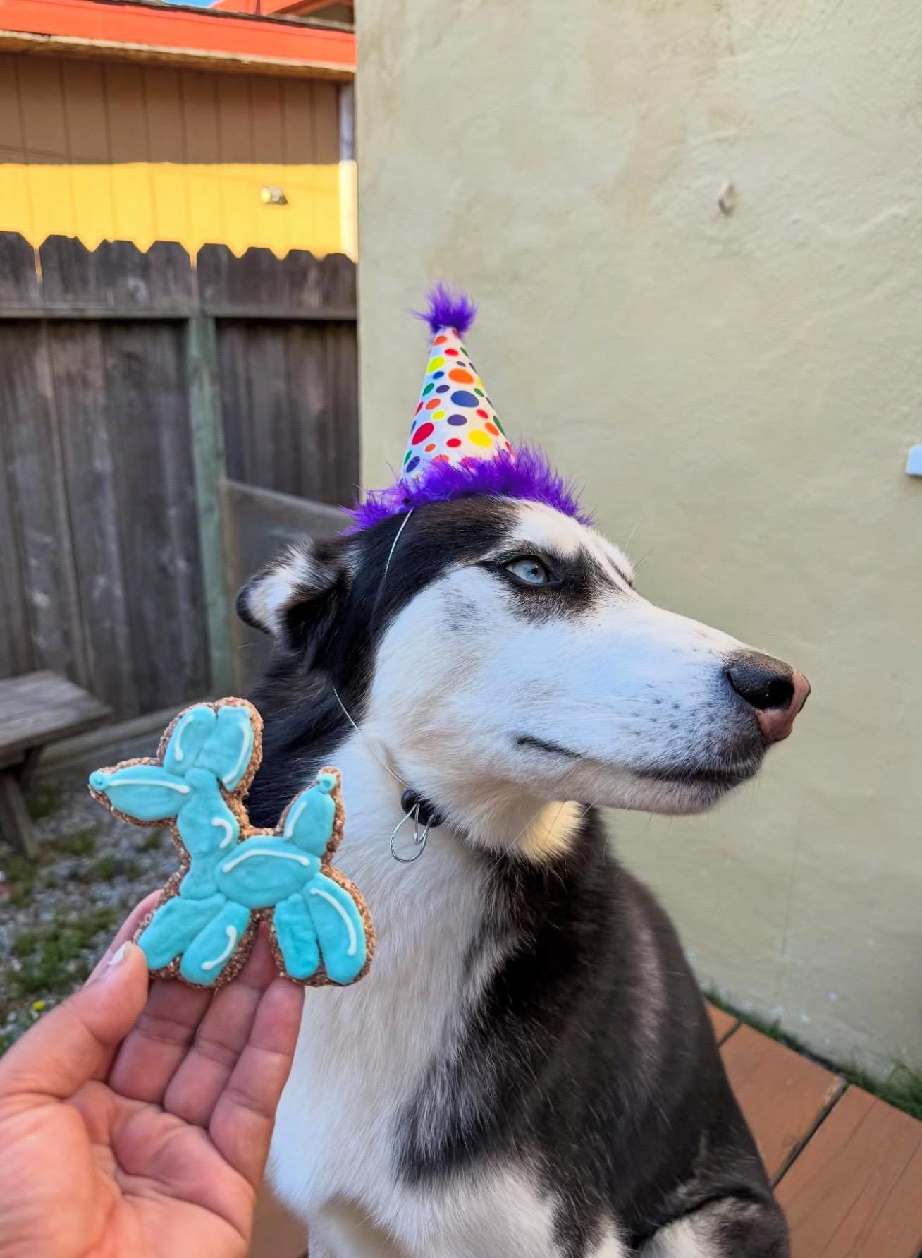 Balloon Animals