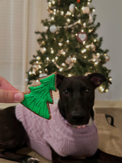 Ornament, Pine Tree, Wreath