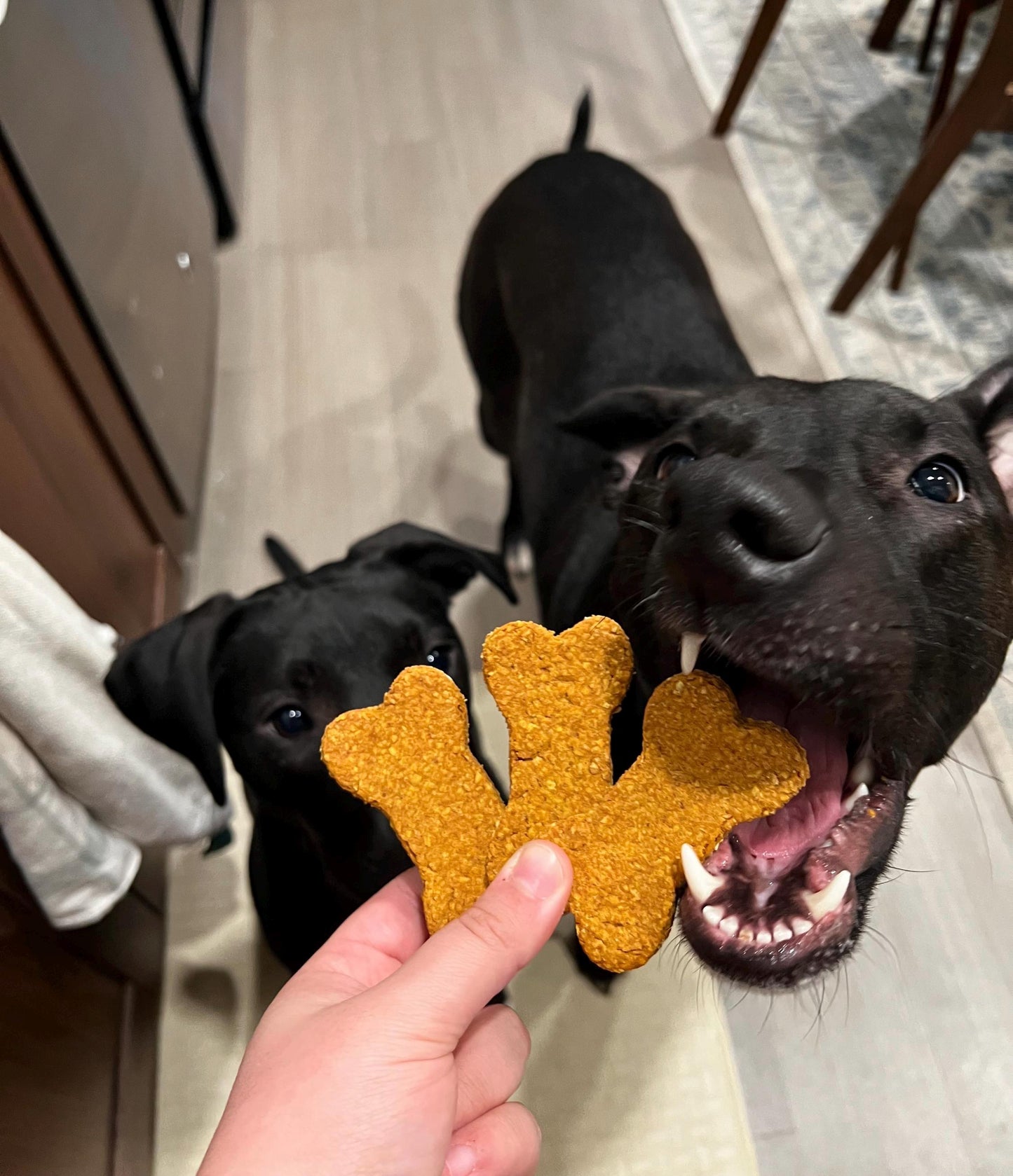 Set of 10 Cookies