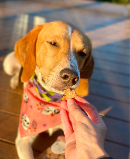 Clover's Crispies - Bite Sized Treats