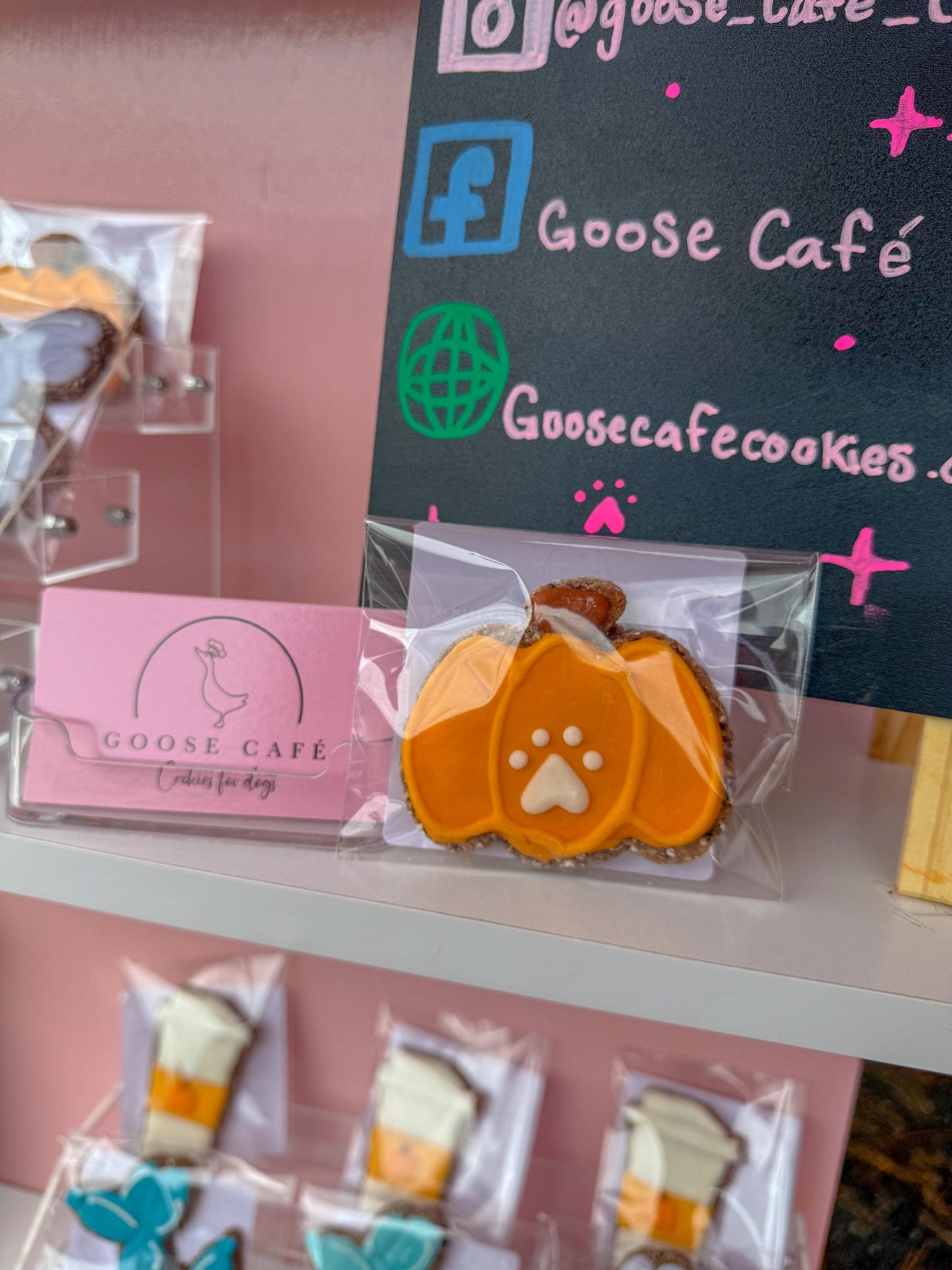 Pumpkin with Paw