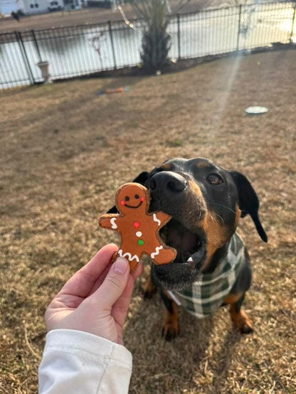 Mug, Gingerbread Man, Wreath