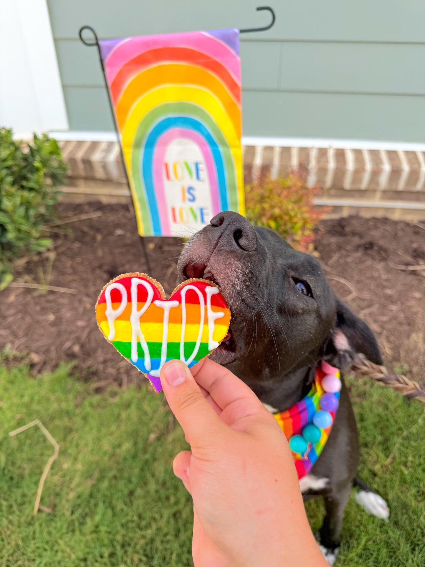 Pride Theme