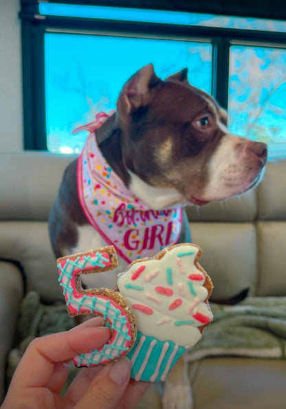 Custom Dog Cookies
