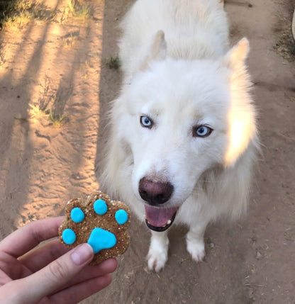Mini Dog Theme