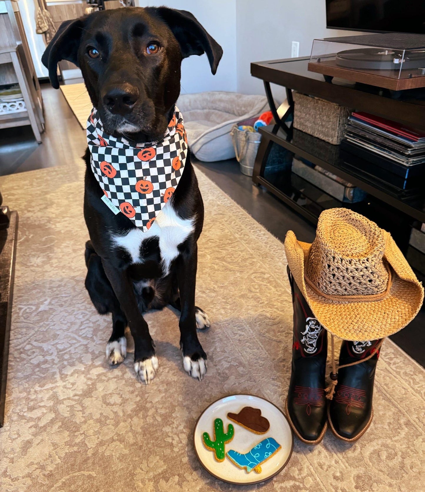 Western Theme