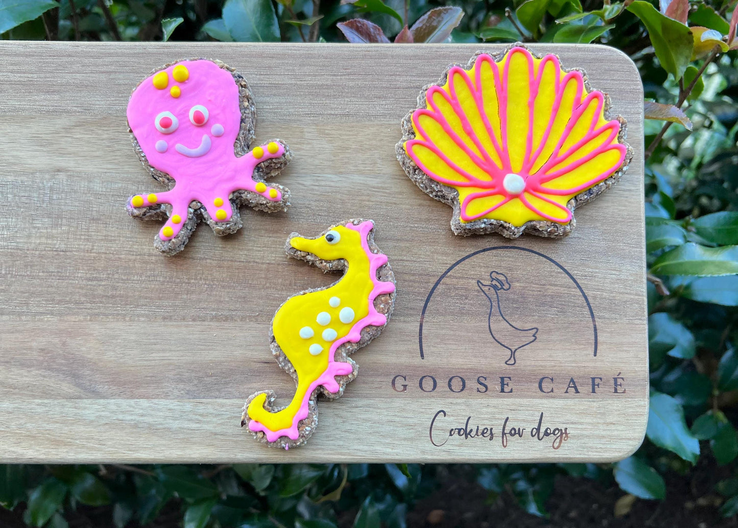 Ocean Creatures