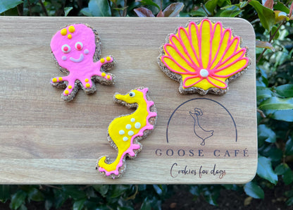 Ocean Creatures