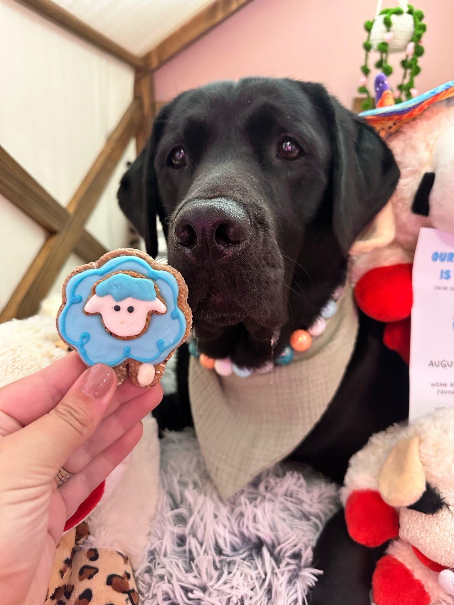 Sheep Stacked Cookie