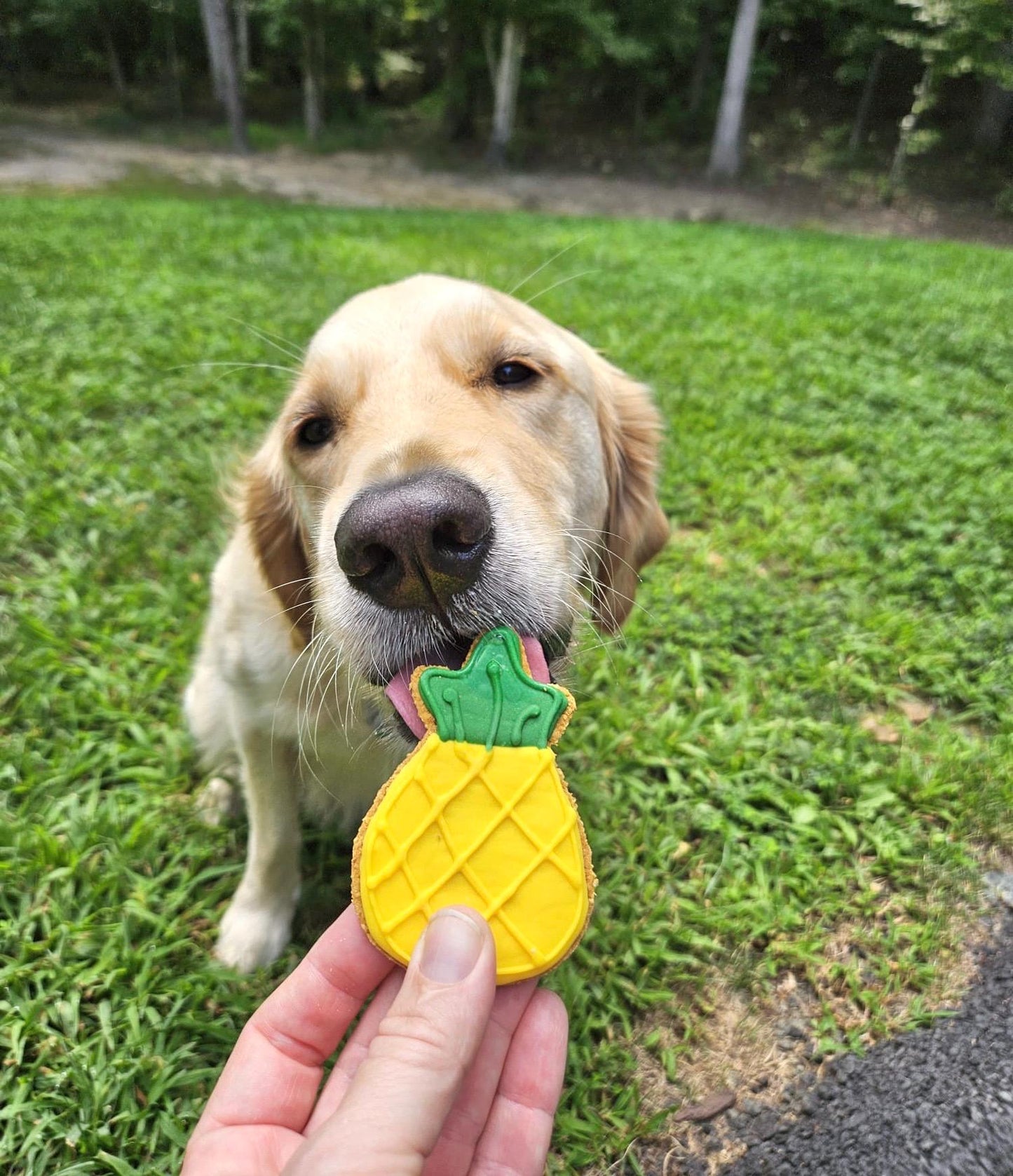 Pineapple