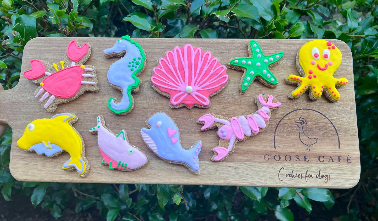 Ocean Creatures