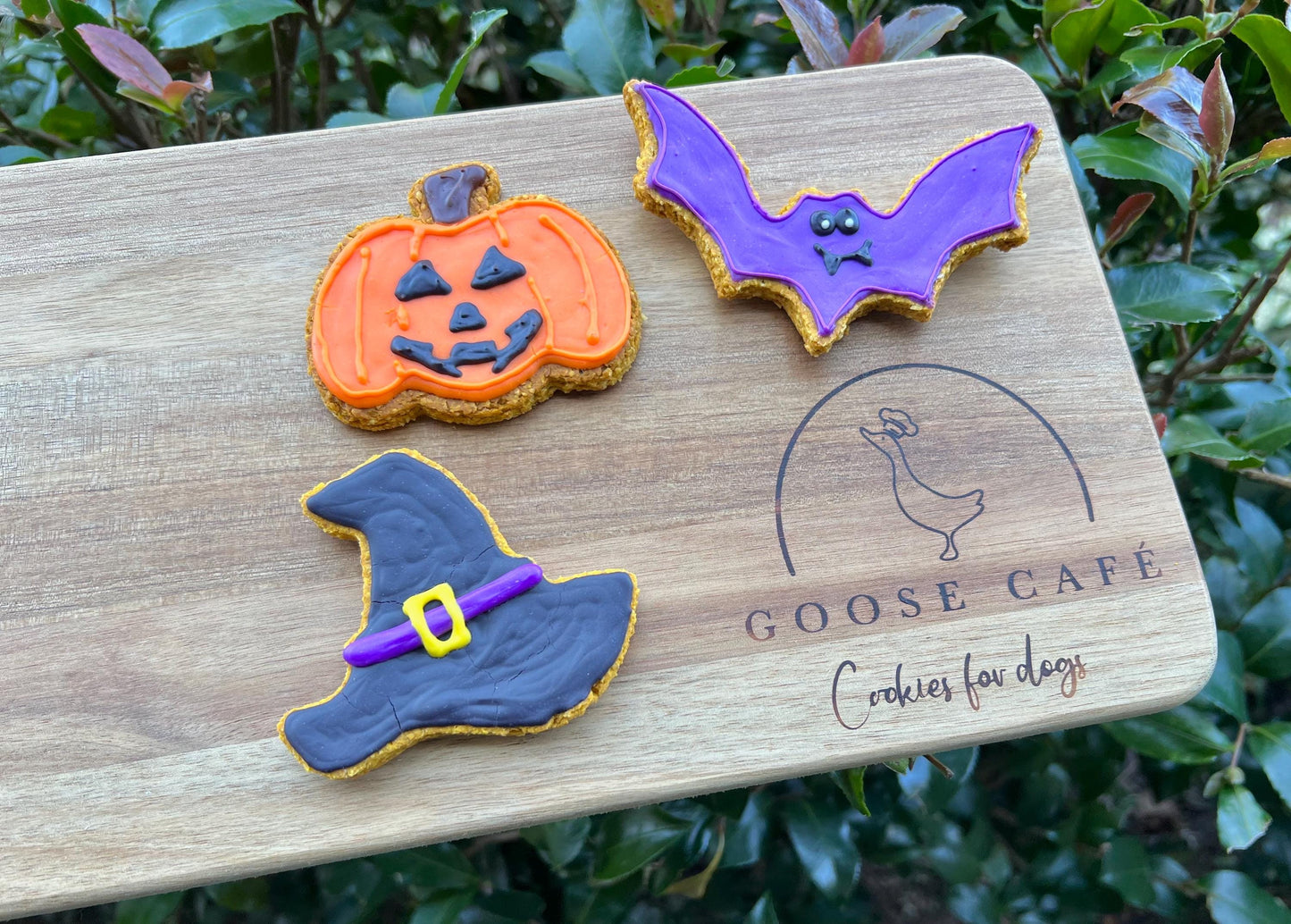 Halloween Theme
