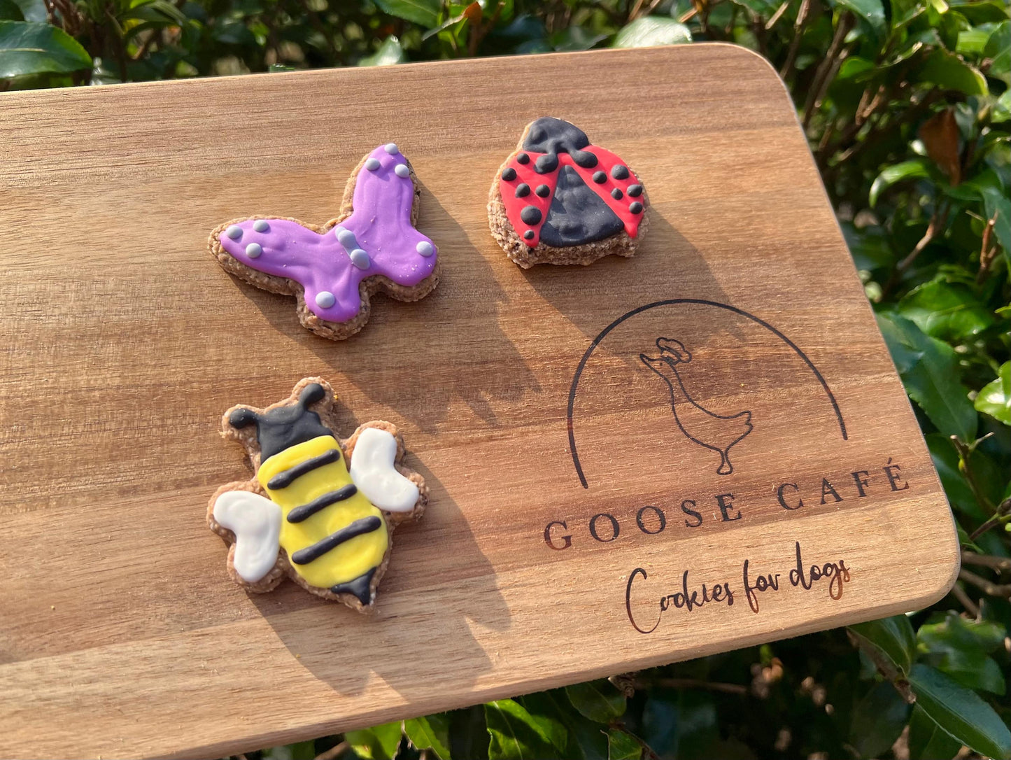 Mini Insects Set of 3