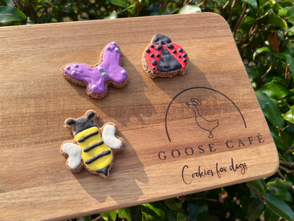 Mini Insects Set of 3