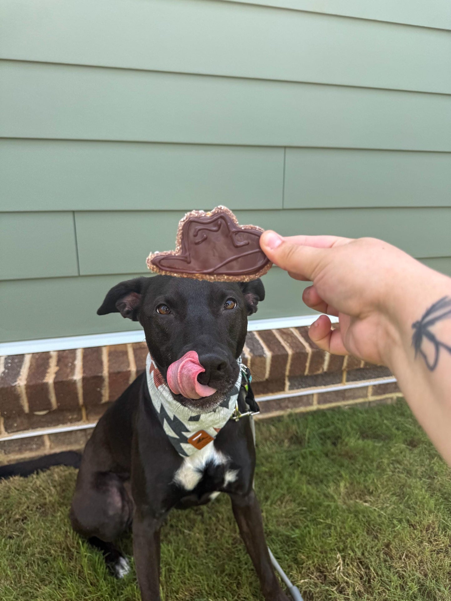 Cowboy Theme