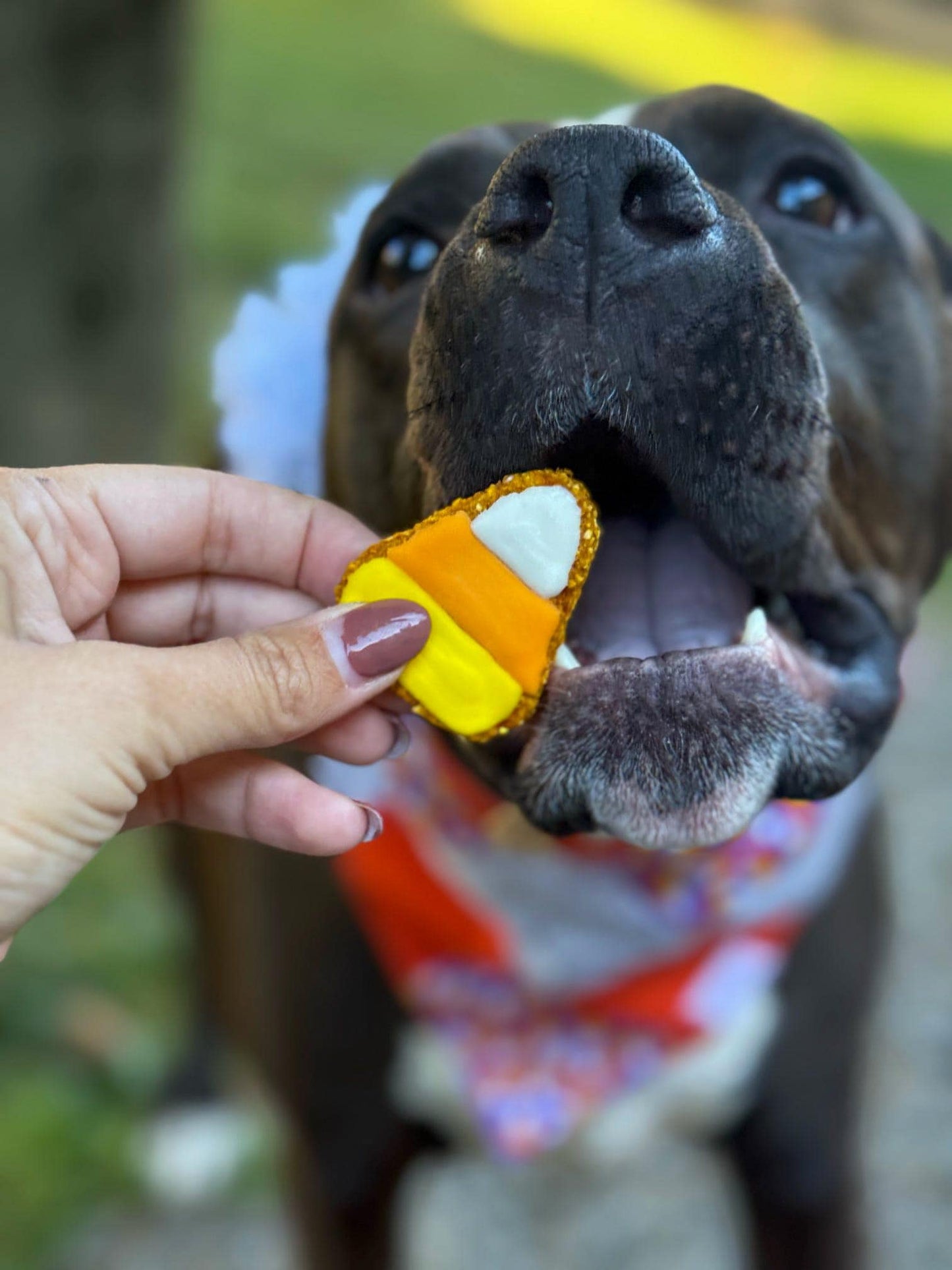 Mini Candy Corn Set of 3 or 6