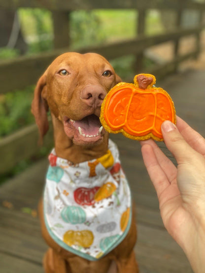 Pumpkins